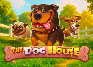 dara168 ทางเข้าล่าสุด The Dog House ทดลองเล่นฟรี